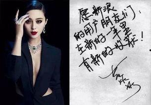 风字明星,星光熠熠——风字明星风采录