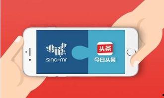 今日头条问答字数,揭秘短小精悍的智慧结晶