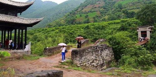 隆阳区南寨乡新闻头条,乡村振兴战略下的南寨新篇章