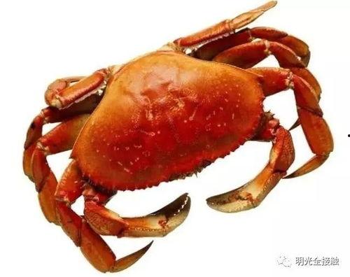 嘉兴蟹居爆料事件视频,揭开背后惊人真相