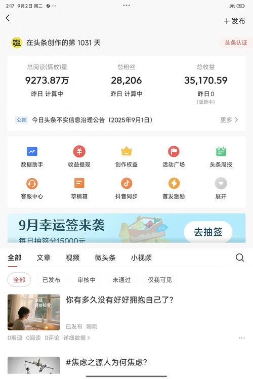 为啥头条没有流量收益,头条流量收益缺失之谜