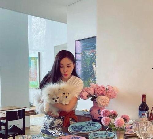 网红小英姐,揭秘网络红人的魅力与影响力