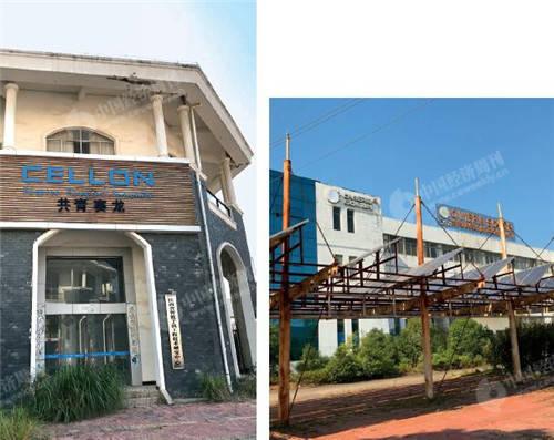 共青城市明星,明星闪耀的青春之城