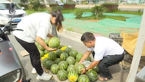 5块钱吃瓜,揭秘如何用五块钱吃出夏日清凉