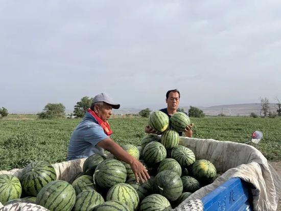 东坡吃瓜,揭秘千古风流才子的闲情逸致