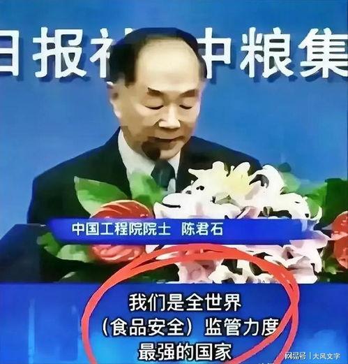 平安网红图片头像,从头像看时尚潮流与个性魅力