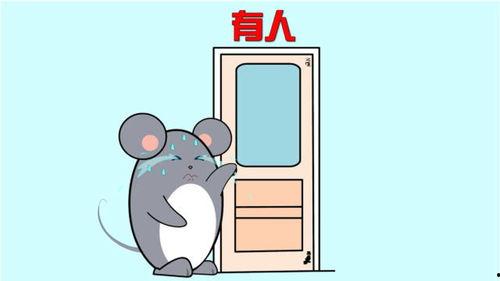 笨笨笨吃瓜,揭秘娱乐圈的甜蜜瓜田