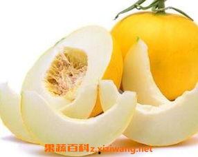 伊丽莎白瓜哪个季节吃,伊丽莎白瓜的黄金食用季