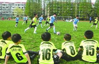 明星体育公益,明星体育公益助力社会发展”