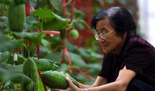 吃瓜院士,揭秘院士们的趣味生活与科学精神