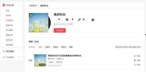 头条音频怎么找风口,挖掘风口项目新机遇