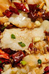 网红双面鱼片,美味与争议并存的风味传奇