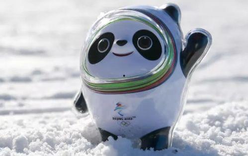 冰墩墩为何成为网红,从冬奥吉祥物到全民网红的逆袭之路
