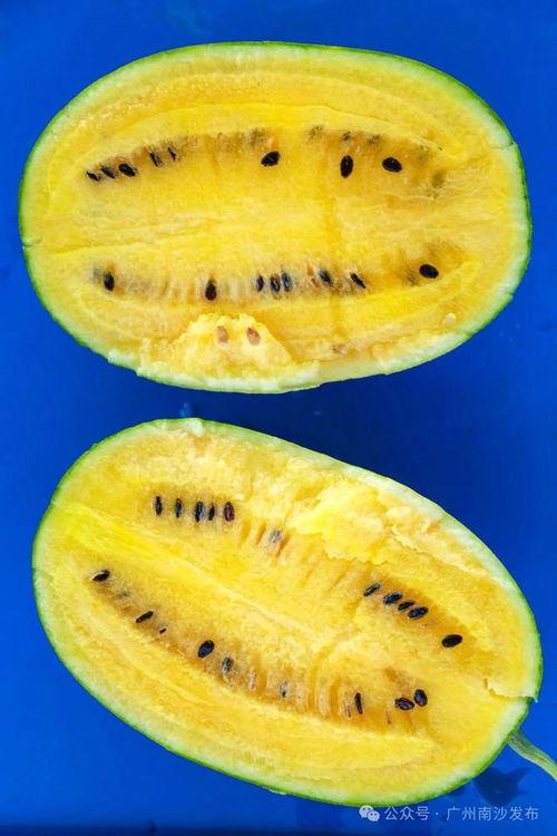 皮哥吃瓜,揭秘娱乐圈那些不为人知的幕后故事