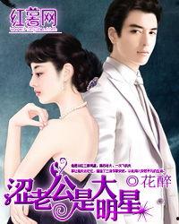 朕不是大明星txt下载,TXT下载背后的故事与启示