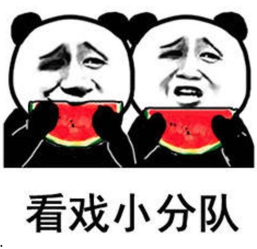 一个人爱发吃瓜的表情包,揭秘“吃瓜群众”的欢乐表情包世界