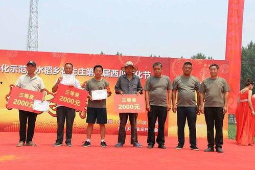 水稻乡今日头条,聚焦乡村发展，共话丰收喜悦