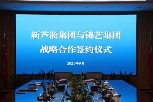 龙泉今日头条新爆料,今日头条揭秘惊人内幕