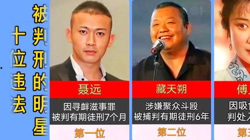 明星 判刑,娱乐圈警示录