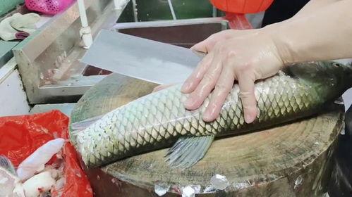 收鱼生边角料老板速看,揭秘高效利用与盈利新途径