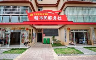 网红永安社,揭秘网红背后的传奇故事