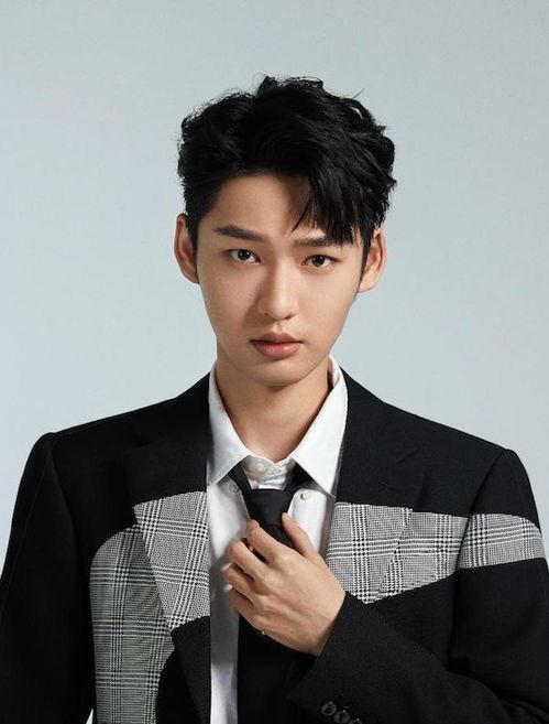 男明星付,星光熠熠的男明星之路