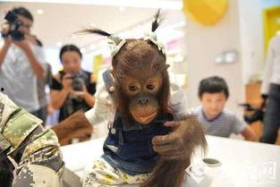 网红试衣镜子图片,时尚与科技的完美融合