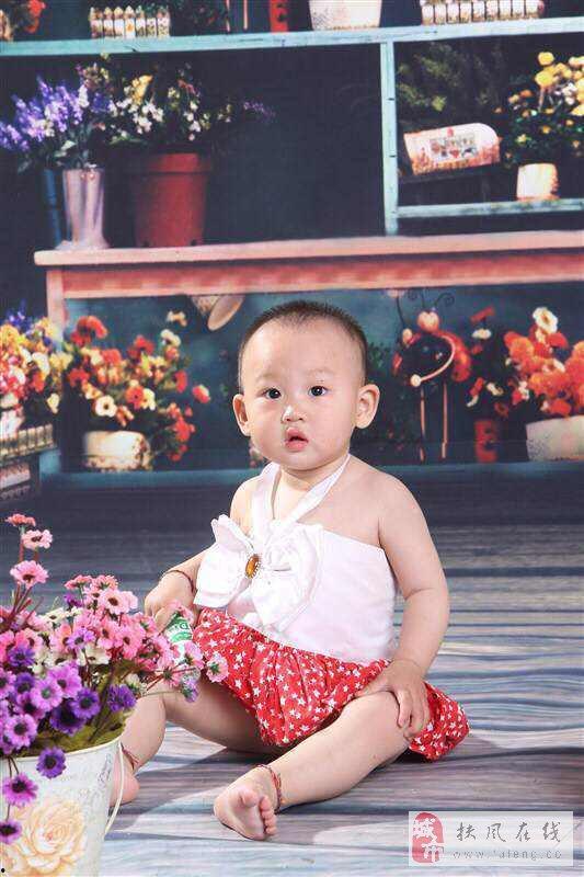 明星宝贝,闪耀星途的璀璨新星