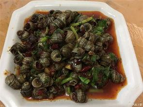 五一节吃瓜群众进行了吃瓜比赛,全民瓜王争霸记